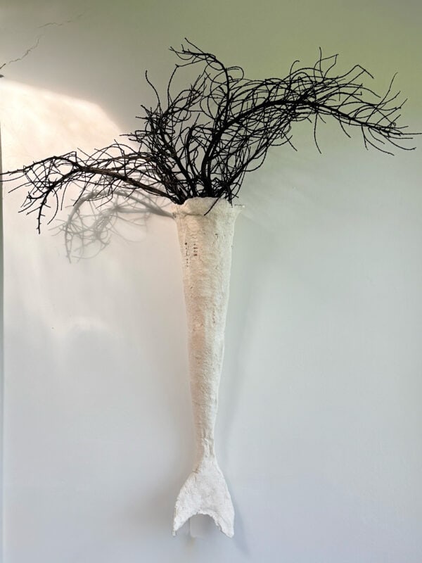 Fin Vessel
