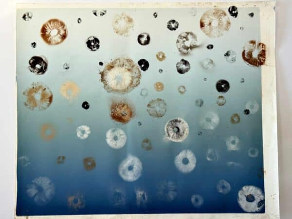 Rain