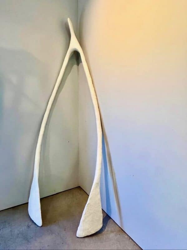 Wishbone